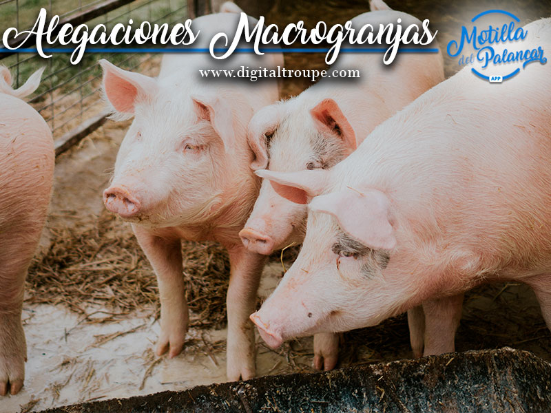 Alegaciones a la macrogranja de Barchín del Hoyo y Piqueras del Castillo - imagen 1