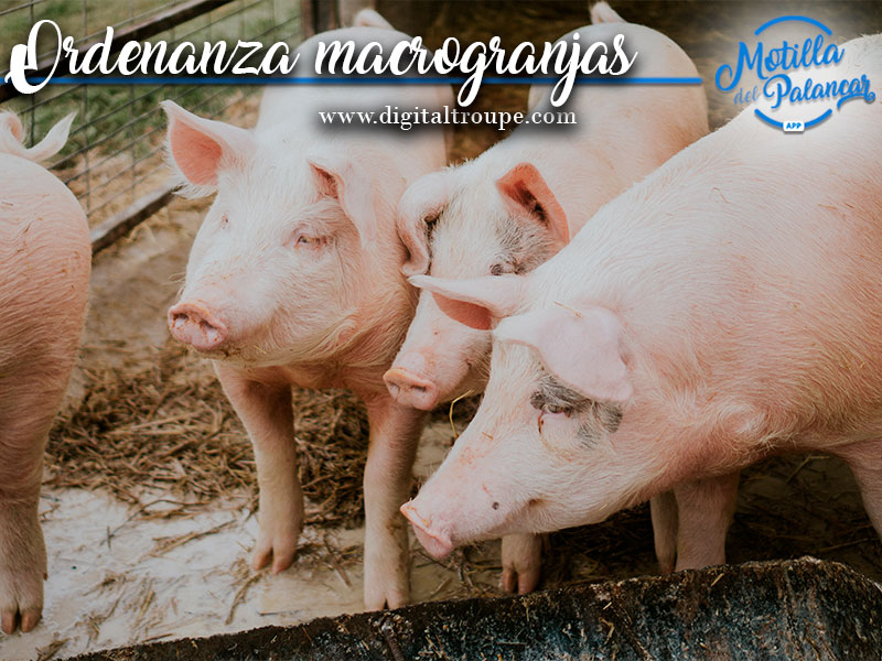 Ordenanza relativa a macrogranjas en Motilla del Palancar - imagen 1