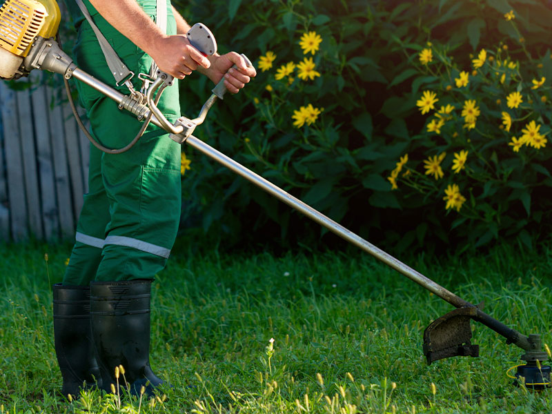 Bases plan empleo Motilla del Palancar - imagen 1