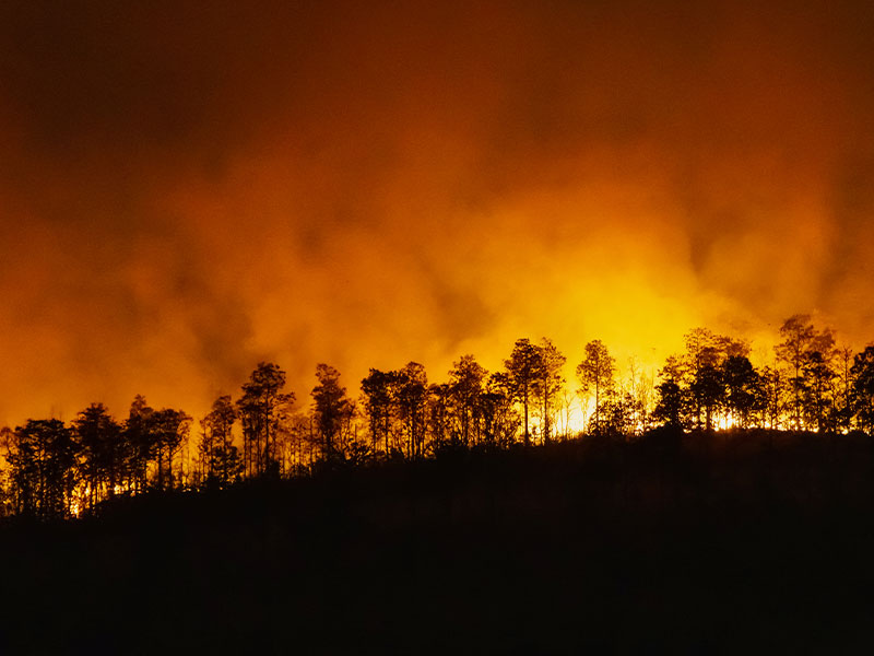 El incendio forestal de Villora es controlado - imagen 1