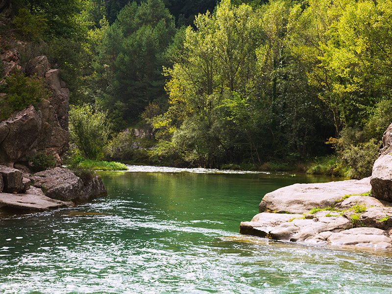 El Gobierno aprueba la modificación del trasvase Tajo-Segura - imagen 1