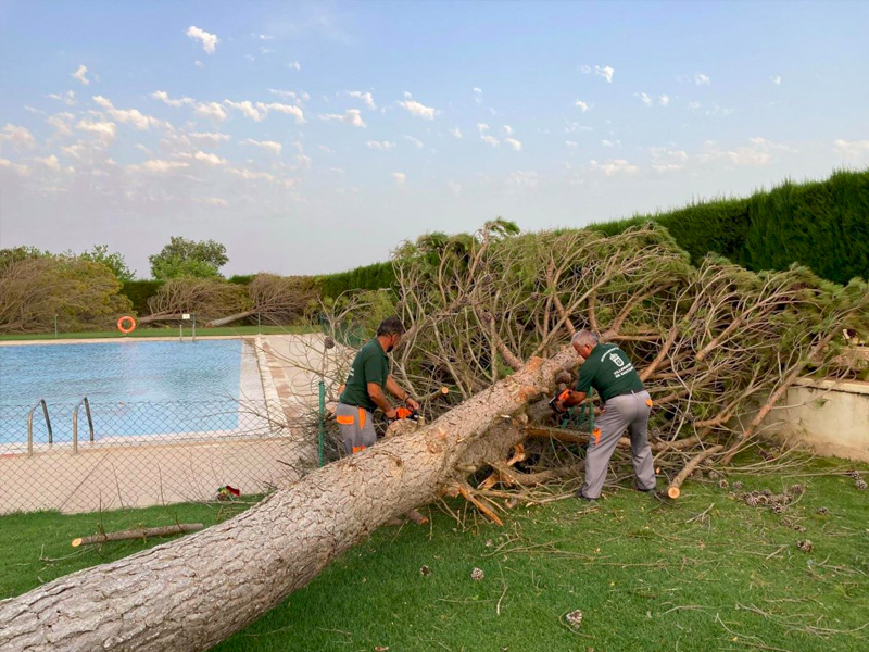 La tormenta y las fuertes rachas de viento causan daños en La Mancha - imagen 1