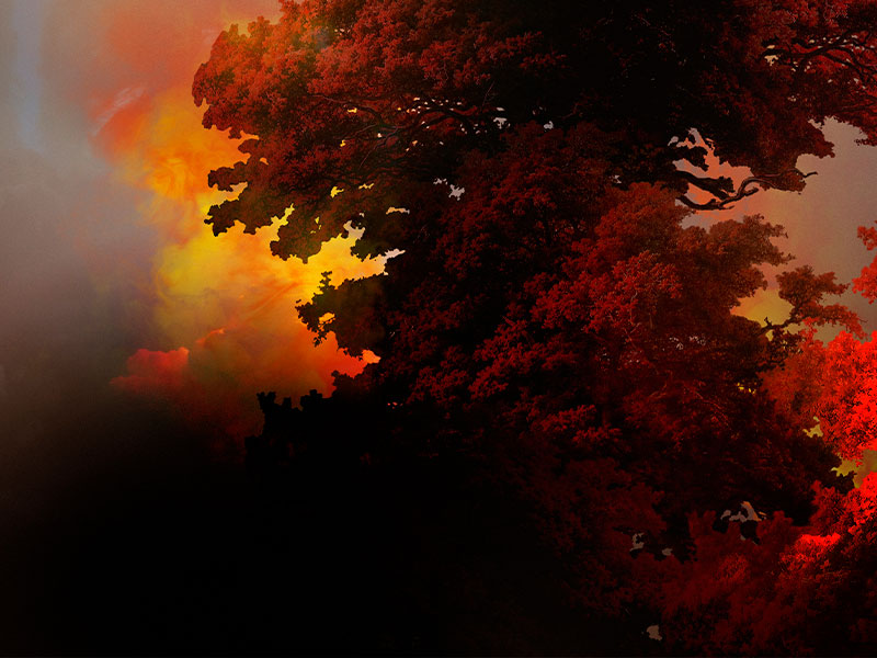 Domingo de incendios en la provincia - imagen 1