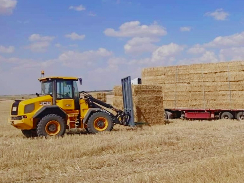 Las Pedroñeras se vuelca con 16.000 kilos de paja y donaciones particulares para el ganado afectado por el incendio de Ávila - imagen 1