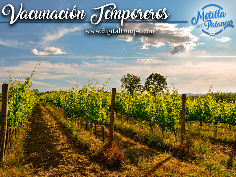 Temporeros que vendimien en la provincia serán vacunados - imagen 1
