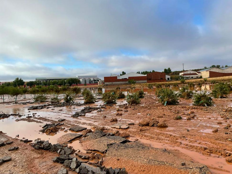 Tareas de limpieza en Iniesta - imagen 1