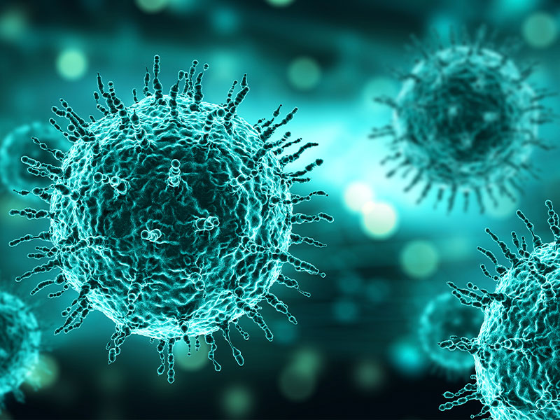 Testimonial variante alfa en Castilla-La Mancha - imagen 1