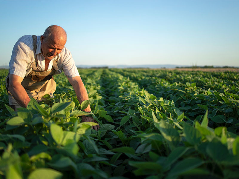 Unos 65,6 millones de euros del anticipo de la PAC en Cuenca - imagen 1