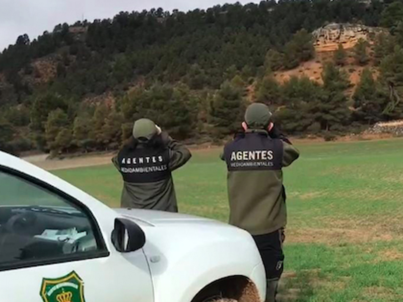 La Junta y Cuerpos y Fuerzas de Seguridad del Estado continúan la lucha contra el furtivismo en el sector de la caza - imagen 1