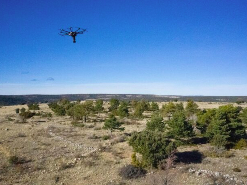 Iberdrola busca pueblos en la España Vaciada para convertir terrenos quemados o baldíos en bosques - imagen 1