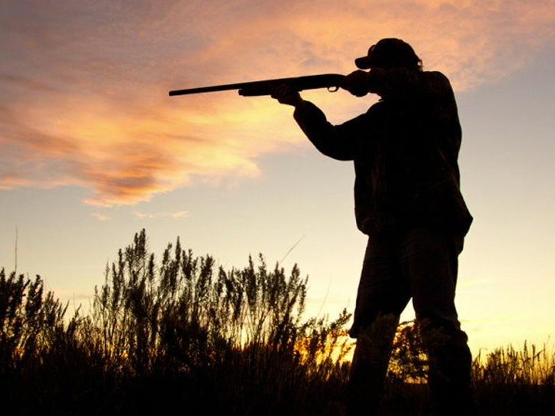 Muere un hombre tras recibir un disparo mientras cazaba en un paraje de Cuenca - imagen 1