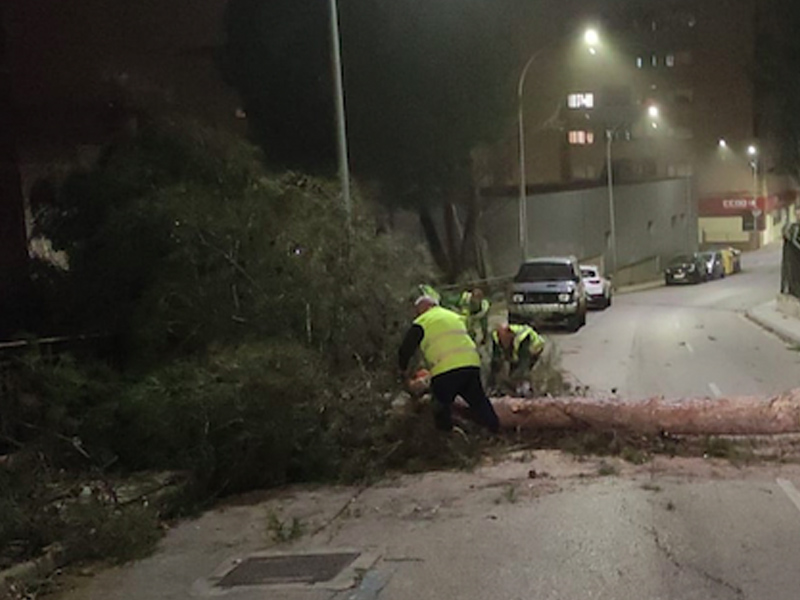 El viento provoca decenas de incidencias en Cuenca - imagen 1