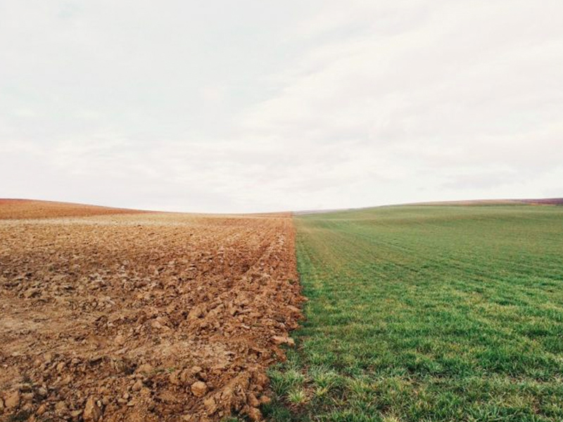 Preparándose para la Política Agrícola Común (PAC) 2023-2027 - imagen 1