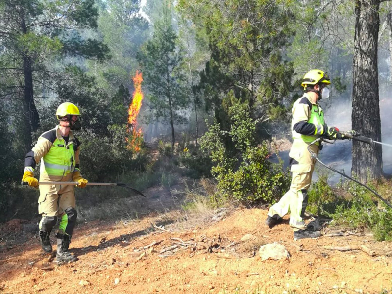 Extinguido el incendio forestal en La Pesquera (Cuenca) - imagen 1