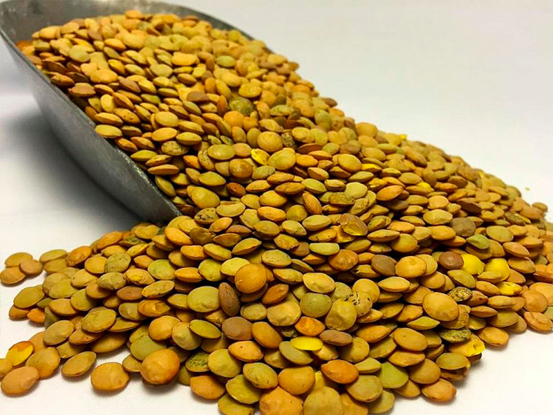 La IGP Lenteja de La Manchuela conquense, más cerca - imagen 1