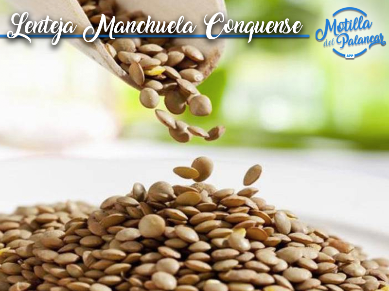 Presentada oficialmente la Asociación de la Lenteja de la Manchuela Conquense - imagen 1