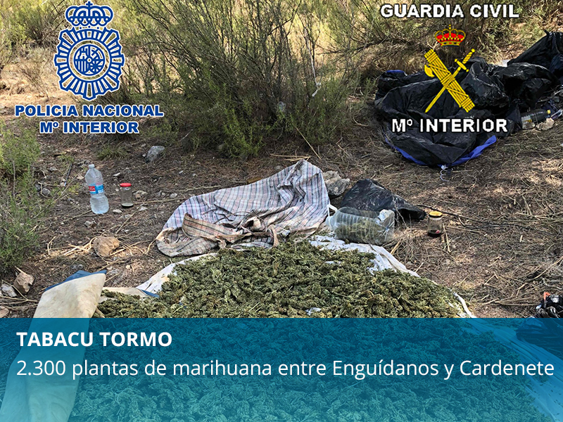 Operación "Tabacu Tormo" entre Cardenete y Enguídanos - imagen 1