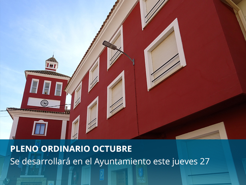 Pleno Ordinario Octubre - imagen 1