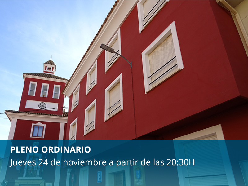 Pleno Ordnario Noviembre - imagen 1