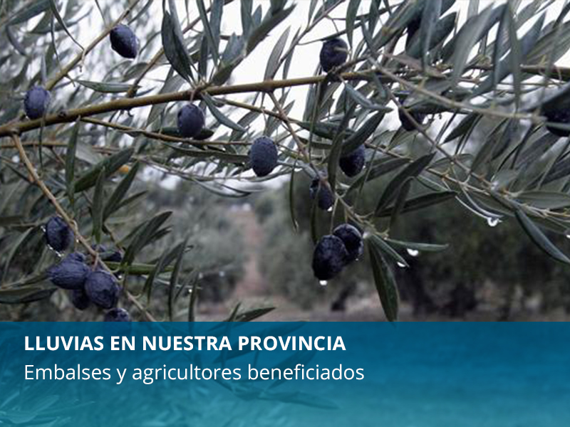 Lluvias positivas - imagen 1