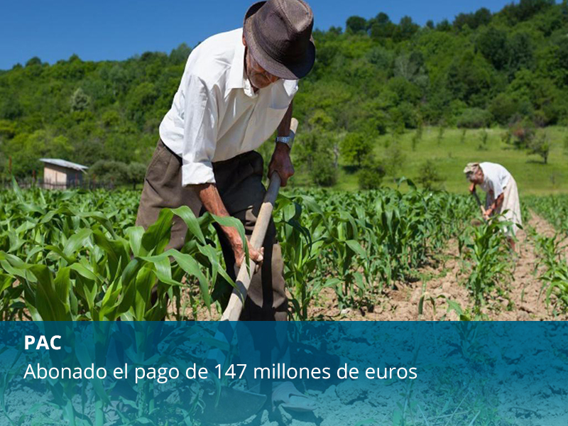 Abonado el pago de 147 millones de euros de la PAC - imagen 1