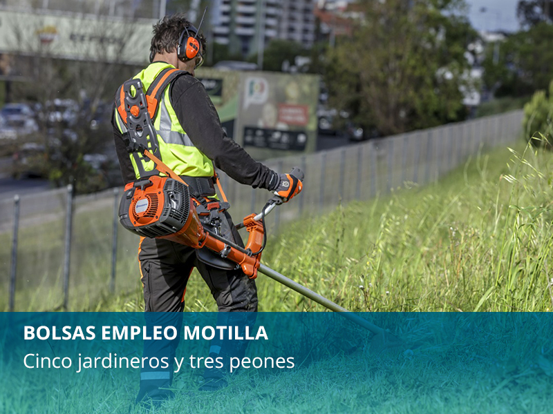 Plan de empleo - imagen 1