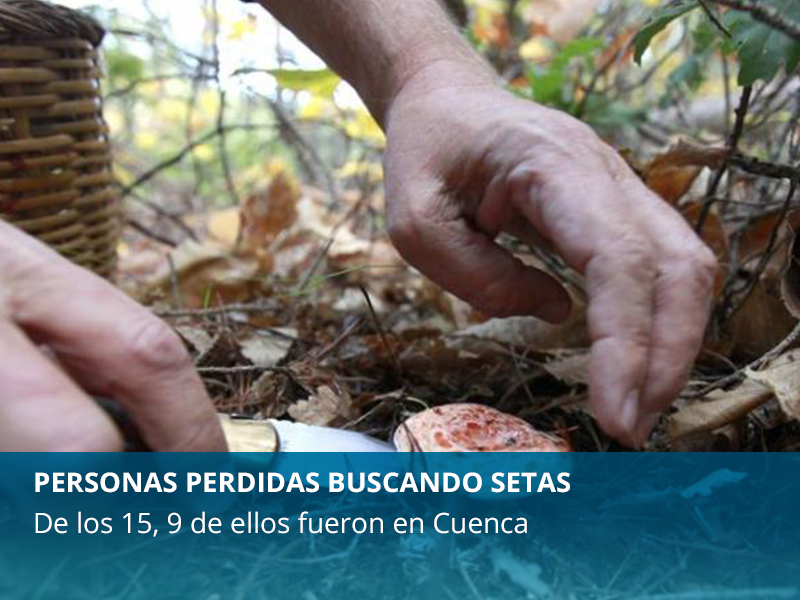 Perdidos buscando setas - imagen 1