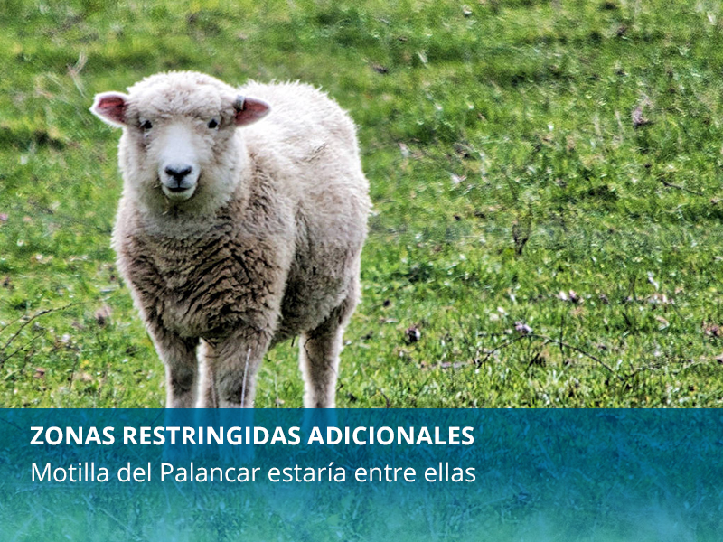 Zonas restringidas  - imagen 1