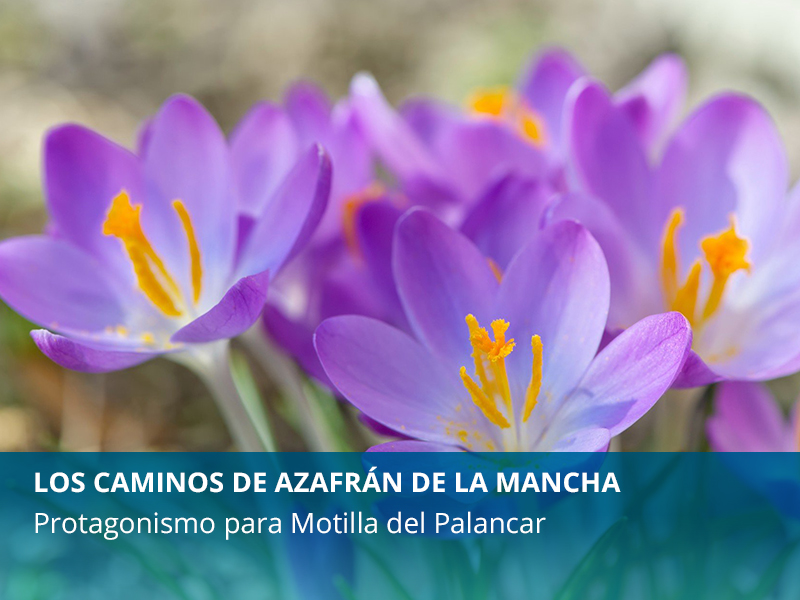 Los caminos de azafrán de La Mancha - imagen 1