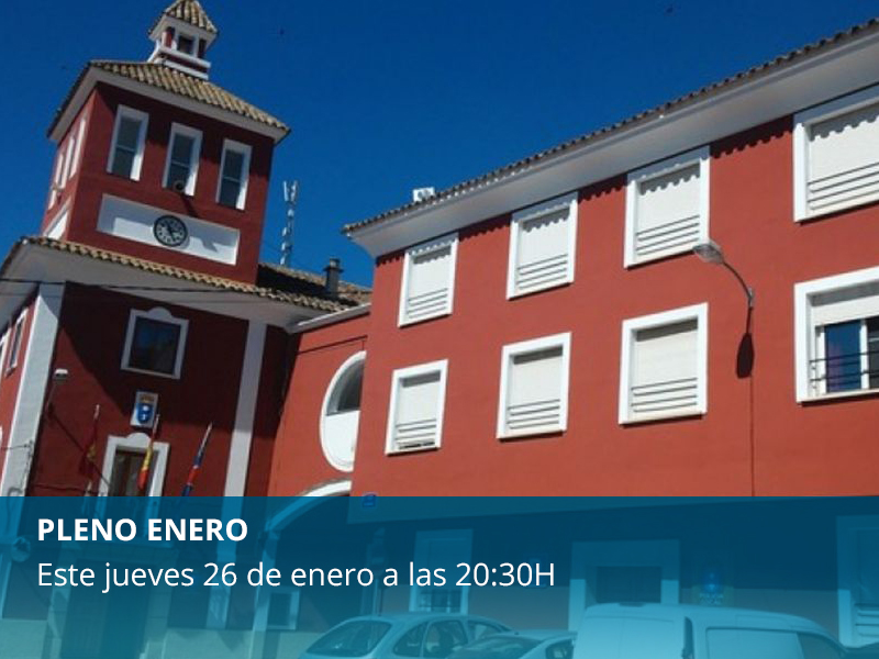 Pleno Ordinario de Enero - imagen 1