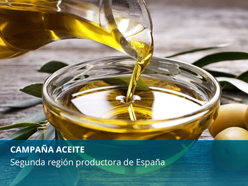 Salvada la campaña de aceite de oliva - imagen 1