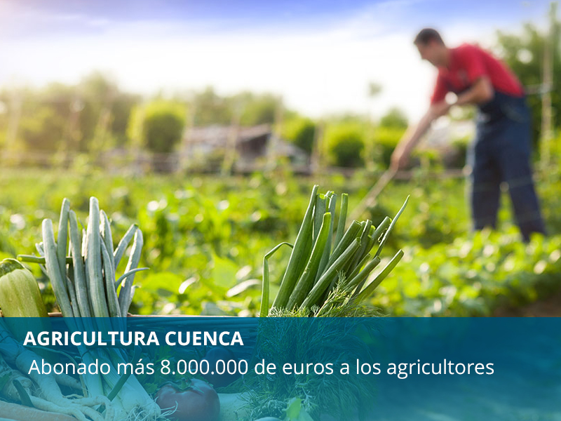 Agricultura en Cuneca - imagen 1