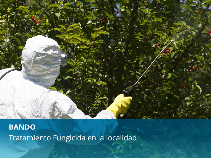 BANDO | Tratamiento Fungicida - imagen 1