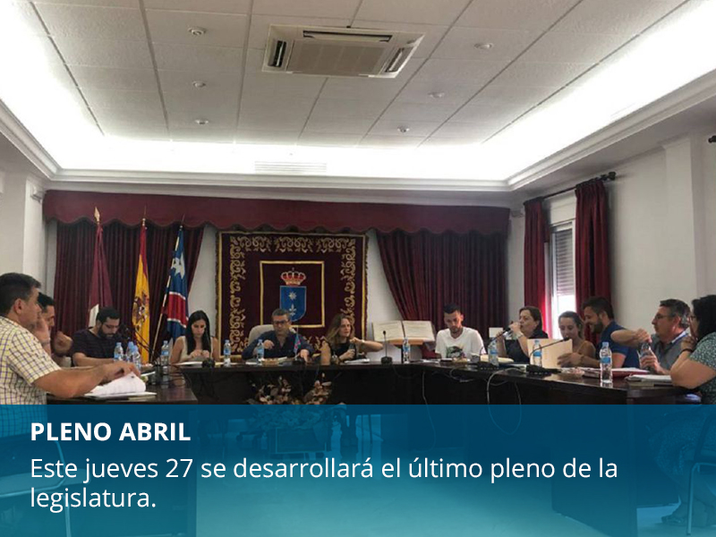 Último pleno de la legislatura  - imagen 1