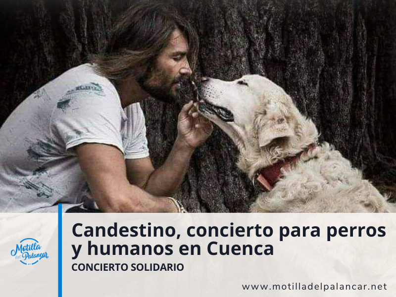 Concierto para perros en Cuenca - imagen 1