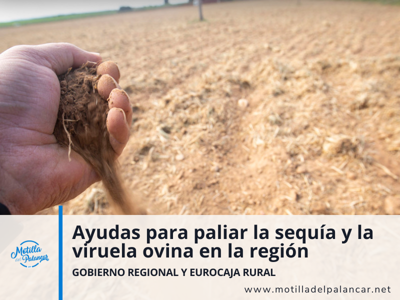 Ayuda contra sequía y viruela ovina - imagen 1