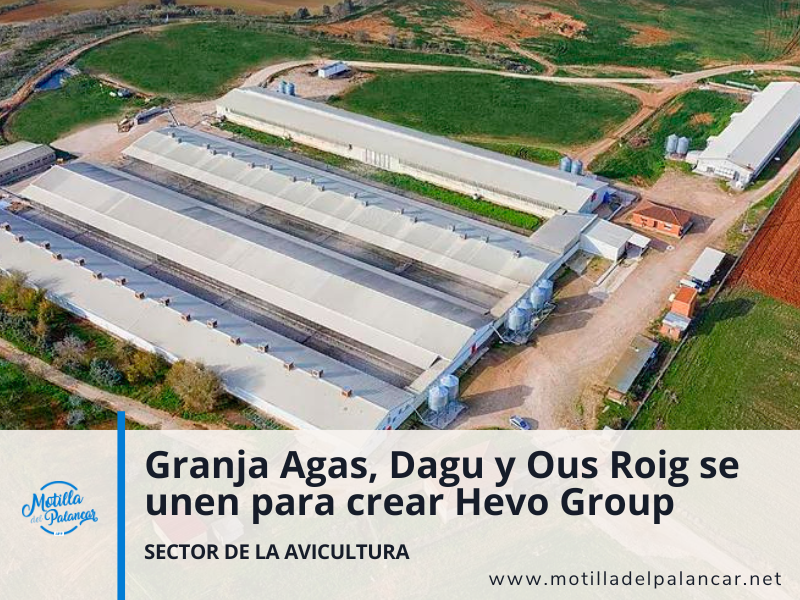 Nace Hevo Group - imagen 1