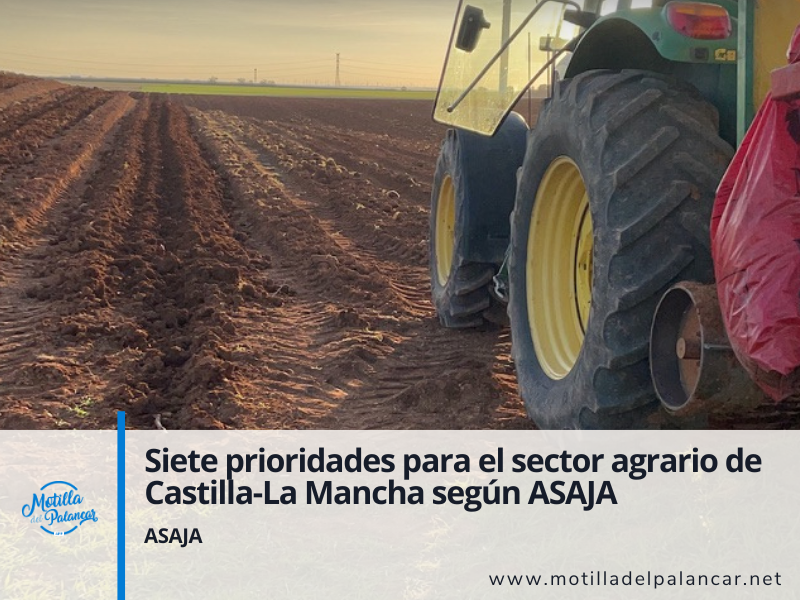 Siete prioridades para el sector agrario de Castilla-La Mancha según ASAJA - imagen 1