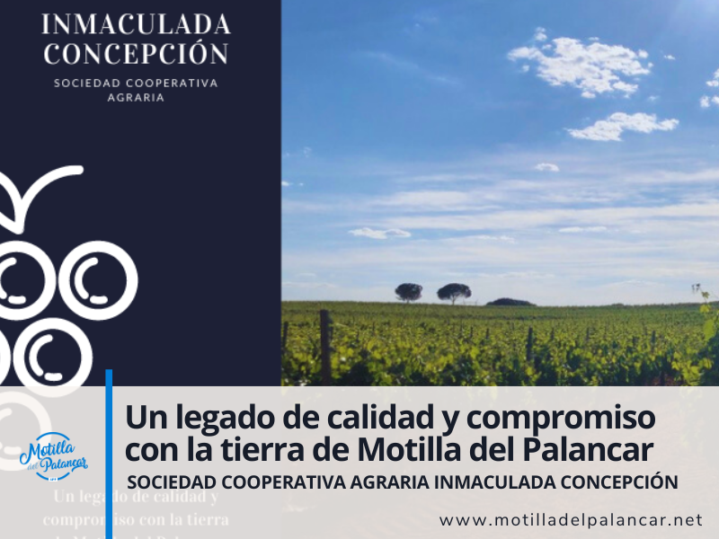 Cooperativa Inmaculada Concepción: Un legado de calidad y compromiso con la tierra de Motilla del Palancar - imagen 1