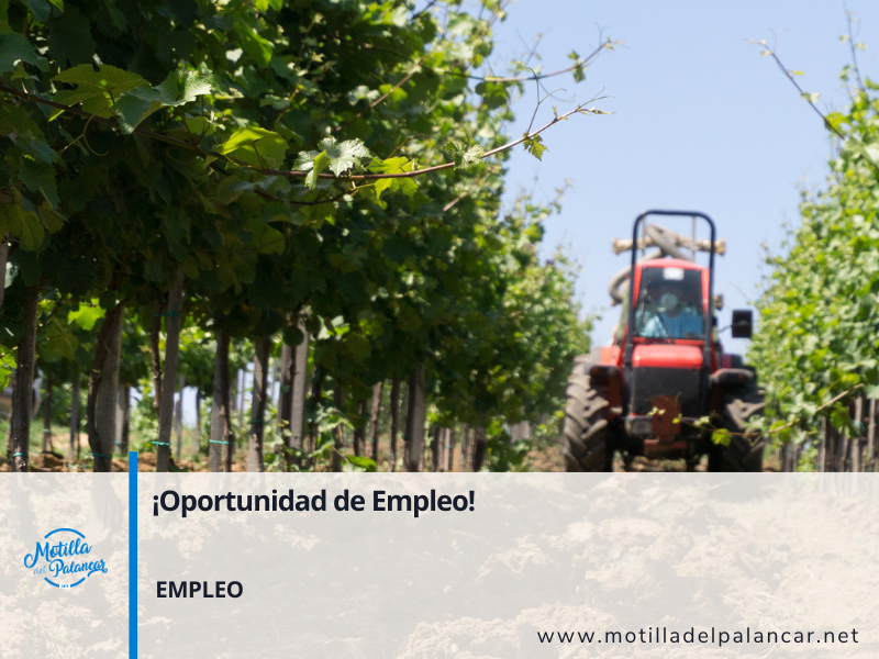 ¡Oportunidad de Empleo! - imagen 1