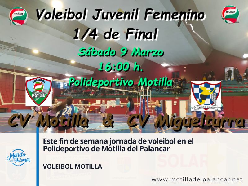 Volei