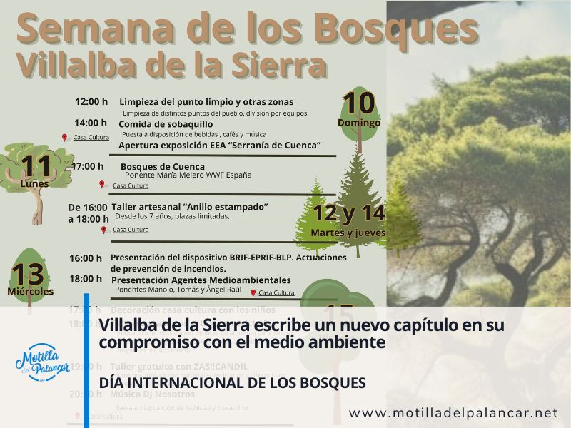 Bosquescuenca