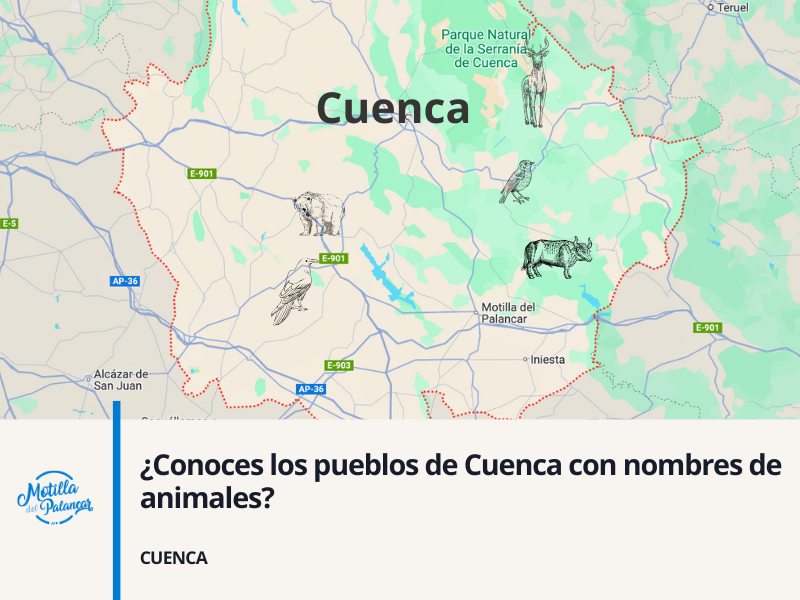 Noviembre app header %2838%29
