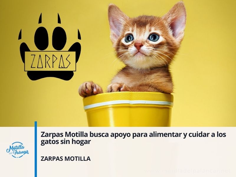 Zarpas