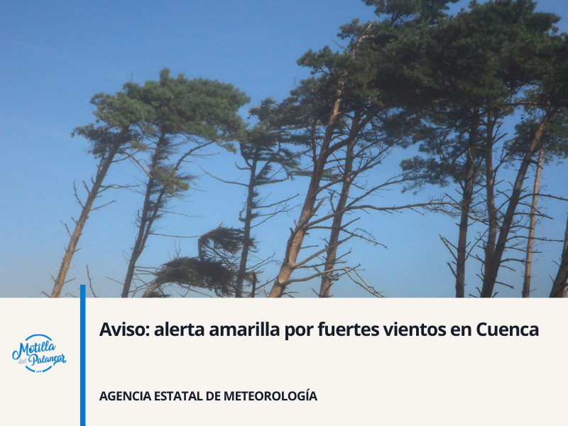 Noviembre app header   2025 03 07t165710.607