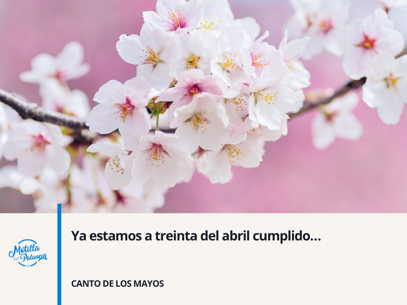 Noviembre app header   2025 04 30t125407.520