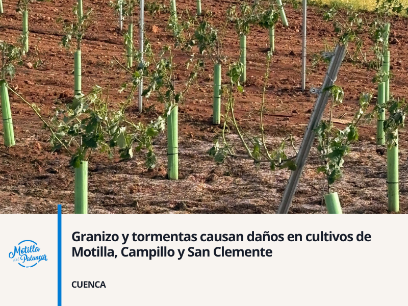 Mayo 2025 app header %2874%29