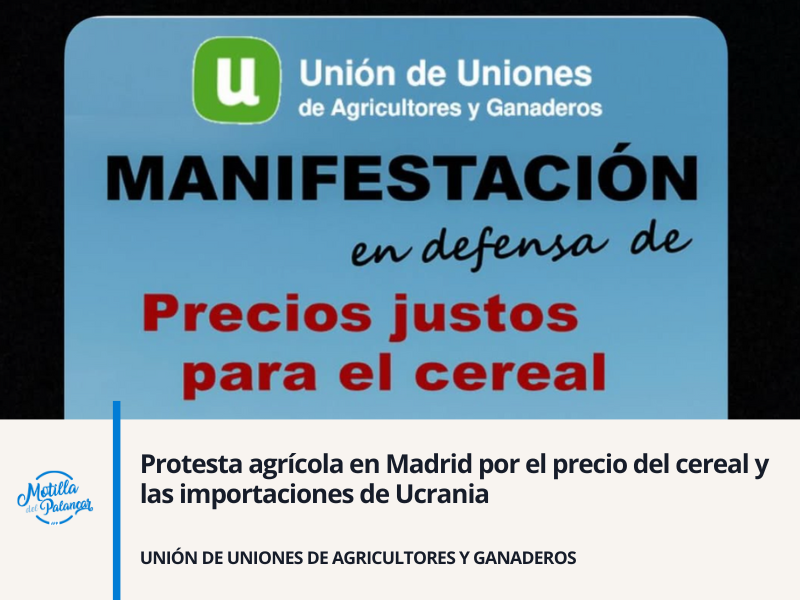 Mayo 2025 app header %2879%29