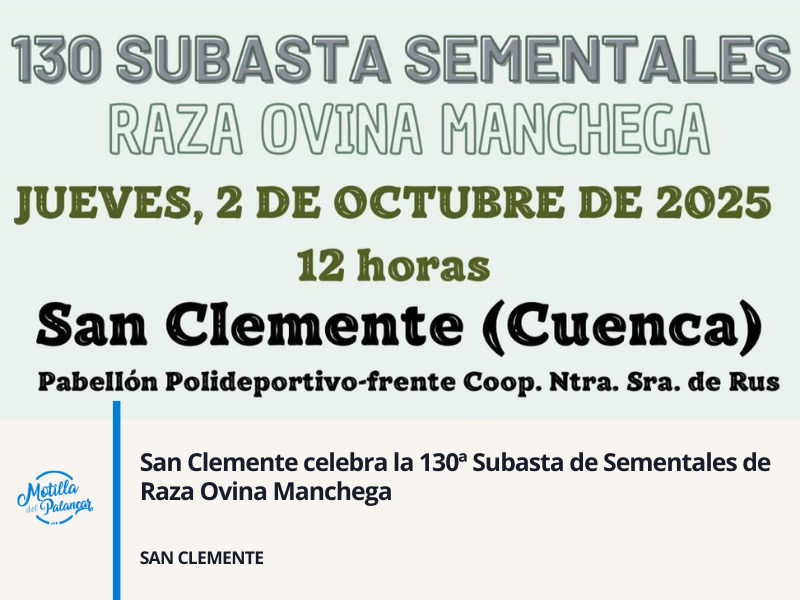 San Clemente celebra la 130ª Subasta de Sementales de Raza Ovina Manchega - imagen 1