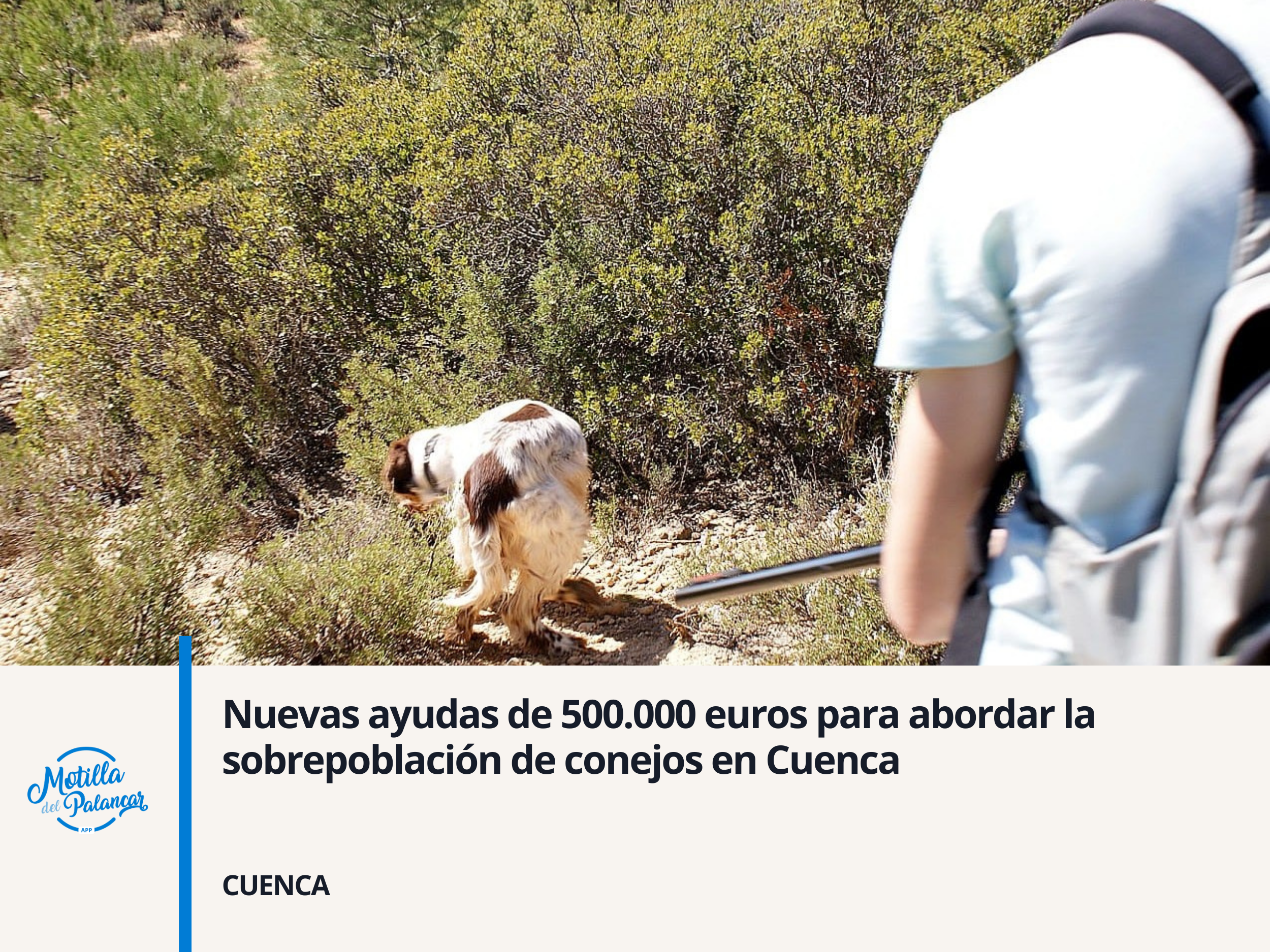 Nuevas ayudas de 500.000 euros para abordar la sobrepoblación de conejos en Cuenca - imagen 1
